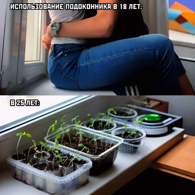 Так себе картинки 01.05.25