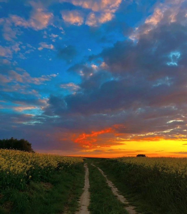 ФотоВинегрет