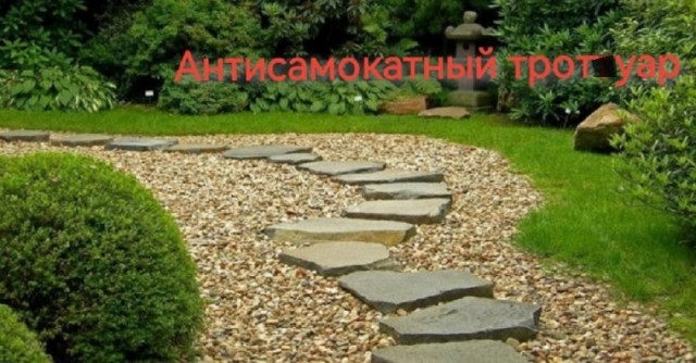 Так себе картинки 18.07.25