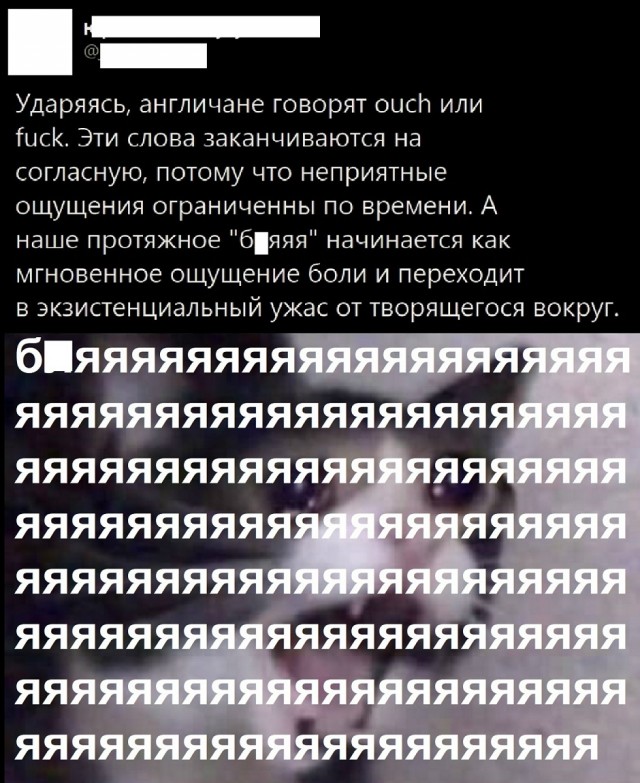 20362221.jpg