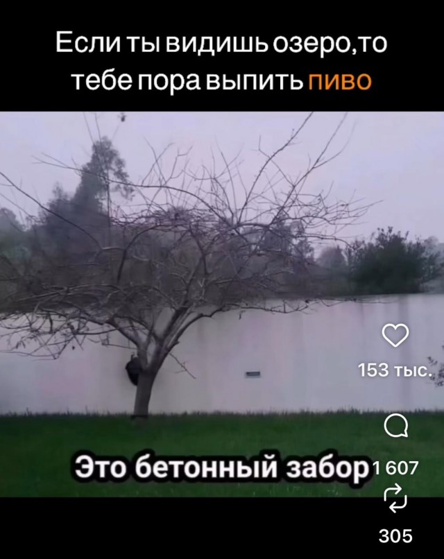 Картинки для деградации 39 (разной степени свежести)