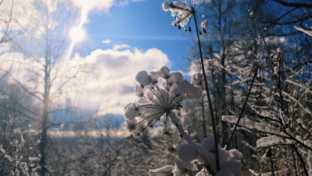 Айгир