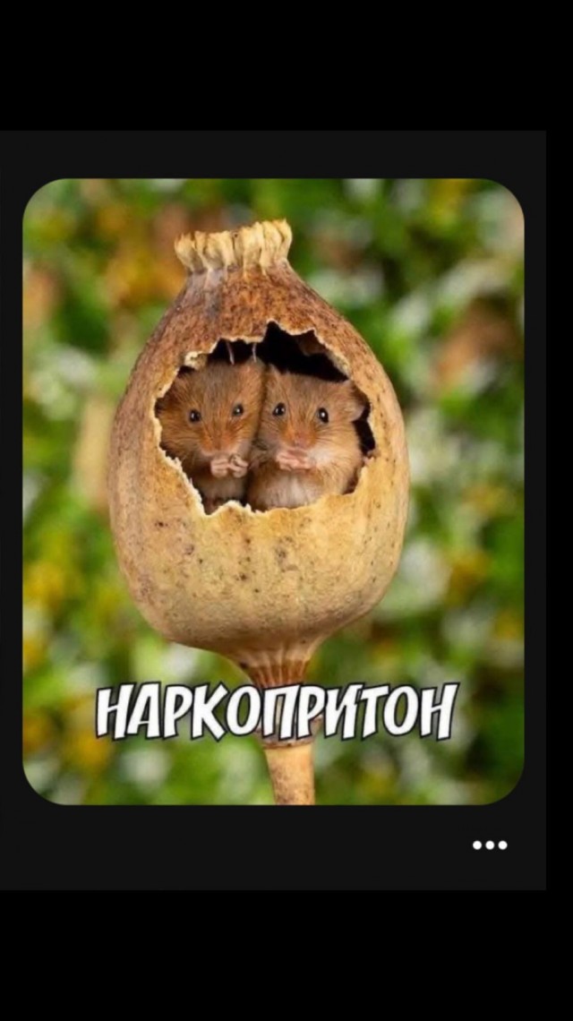 Воскресные картинки