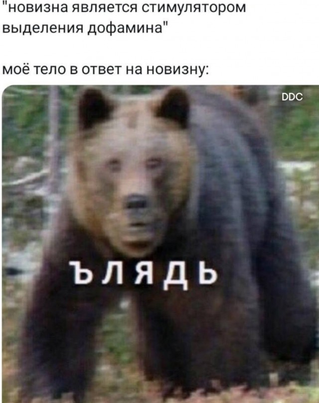 Воскресные картинки