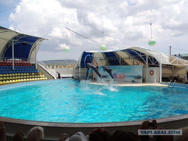 Как мы в Крым катались