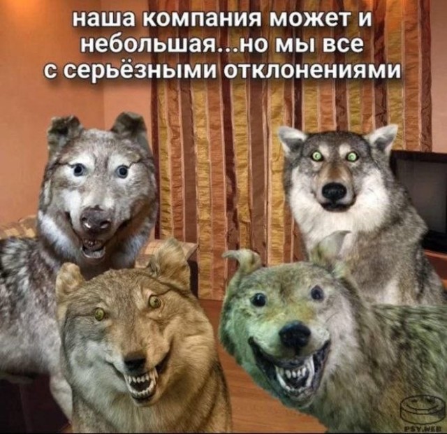 Никакого комплекса у меня нет, я действительно неполноценный!