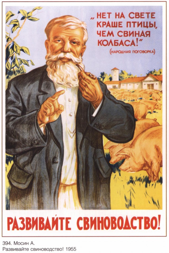 Братья Бодяк