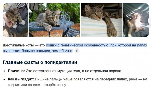 Верни