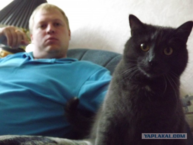 Монстр КОТ