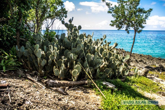 Остров Сан-Андрес