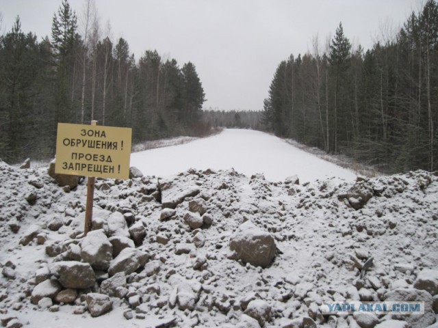 Водителей-хамов будут высмеивать плакатами