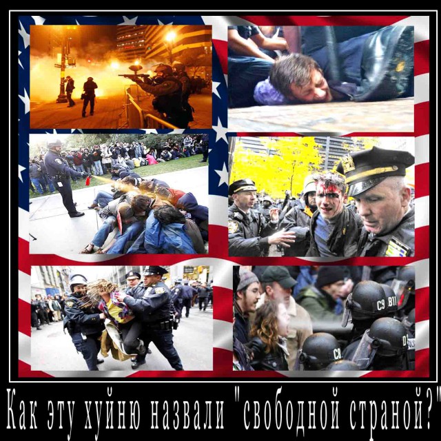 Законы эволюции на майдане.