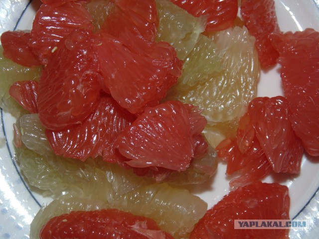 Кулинарная общалка