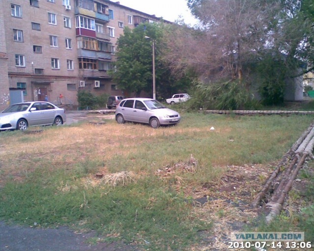 Мудаки и газоны
