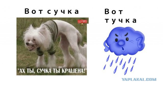 Су / ту