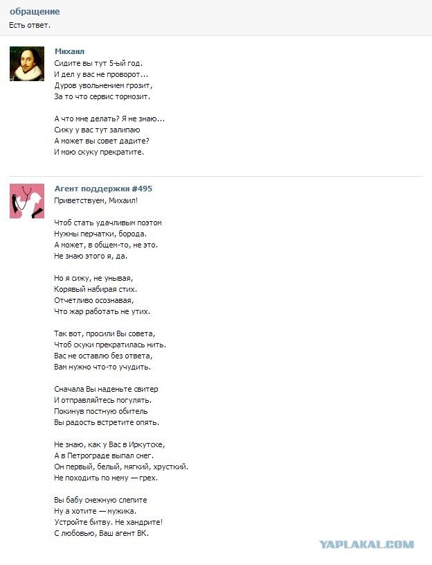 Мне определенно нравятся эти ребята