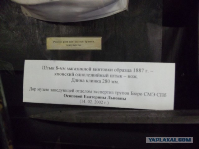 Музей судебной медицины
