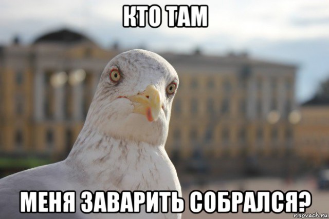 А поутру они проснулись...