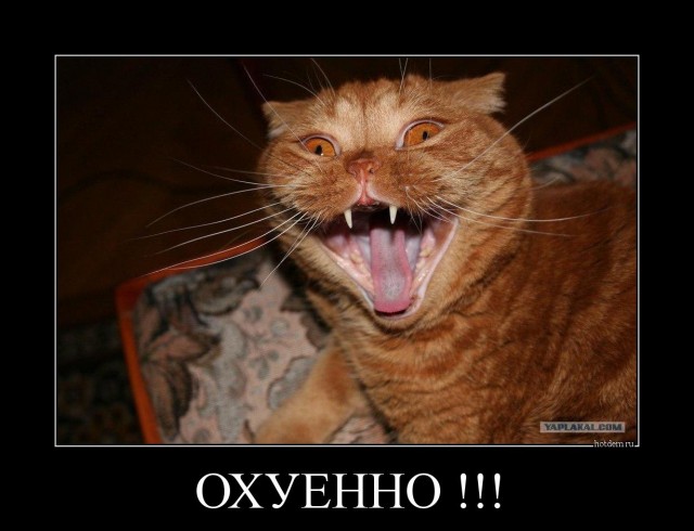 Михаилу Саакашвили светит пожизненное...