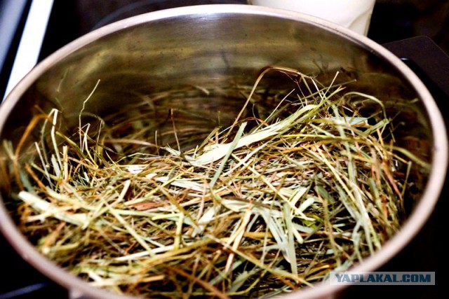 Психокулинария. День открытых дверей.