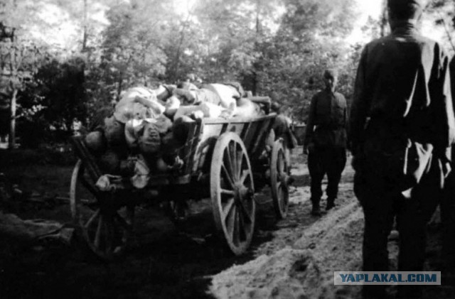 Про "зверства" советских освободителей в Европе….