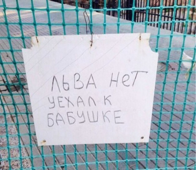 Подборка интересных и смешных картинок