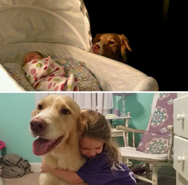 Выросли вместе: собаки и их хозяева в начале дружбы и через много лет