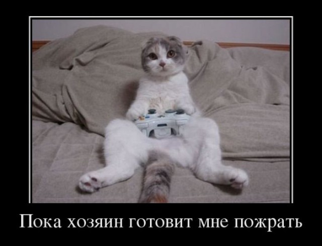 Подборка картинок