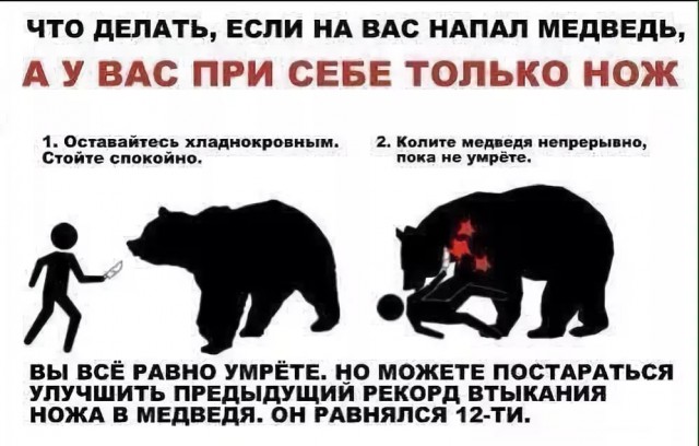 Можно ли убежать от медведя?