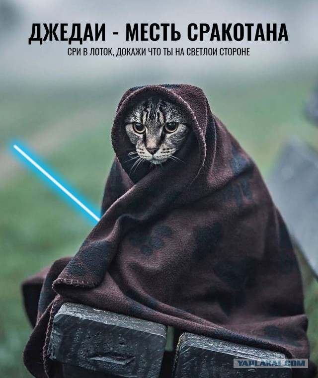 Картинки с подписями и без