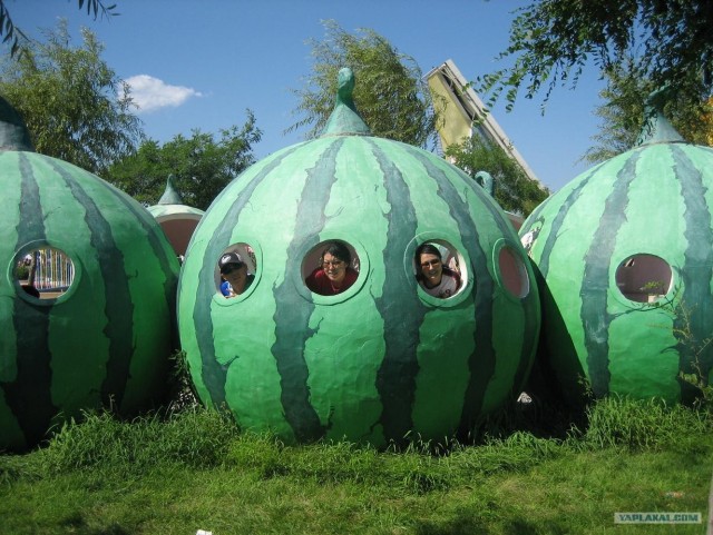 Беременный арбуз
