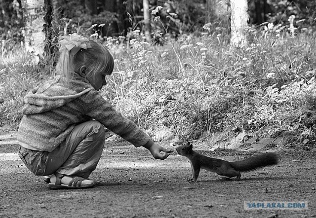 30 душевных фотографий, чтобы отдохнуть, помечтать и улыбнуться