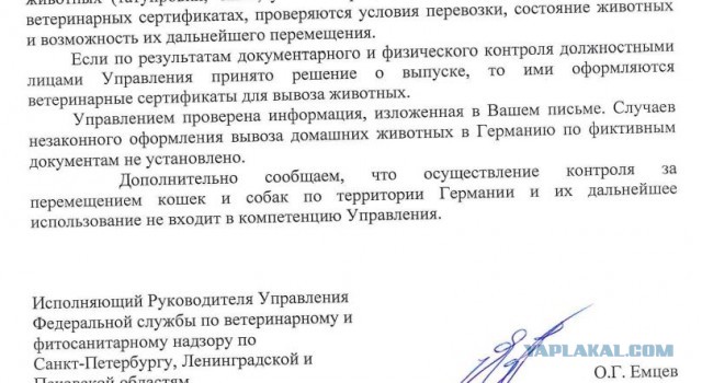 Помогите вернуть кота! Приют "Преданное сердце" украл кота и не отдает!-2