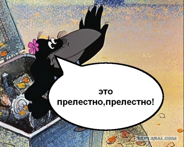 "Ты, петушара, решил записать меня в бывшие модели..."
