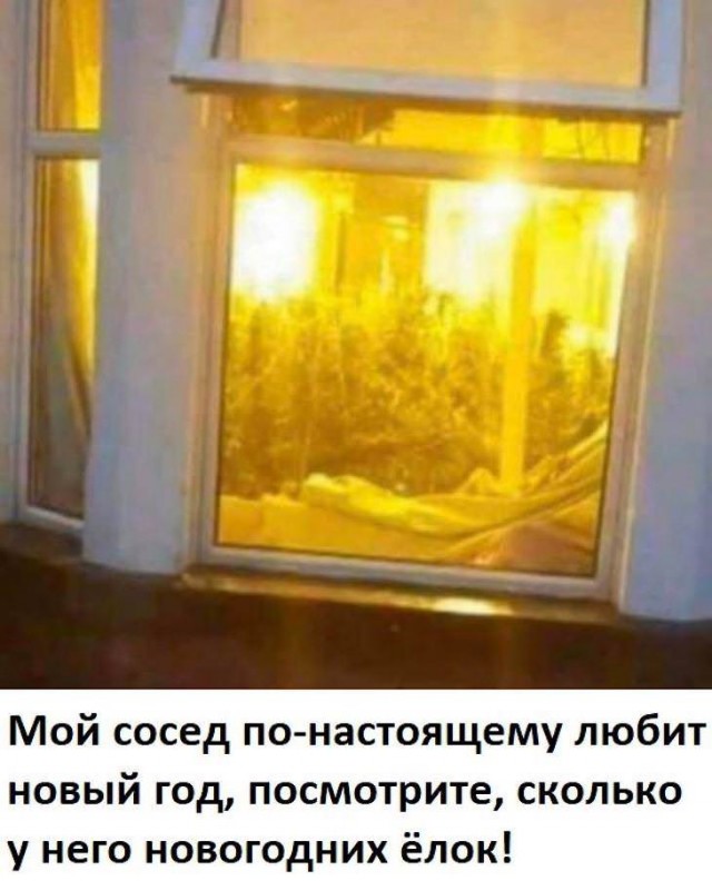 Немного картинок для настроения 07.12.19