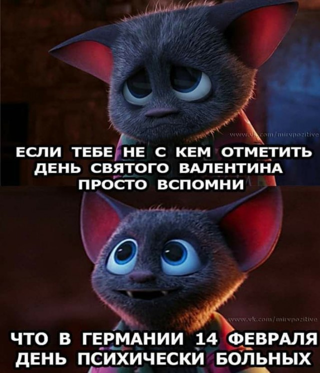 Чуток картинок 07.02.20.