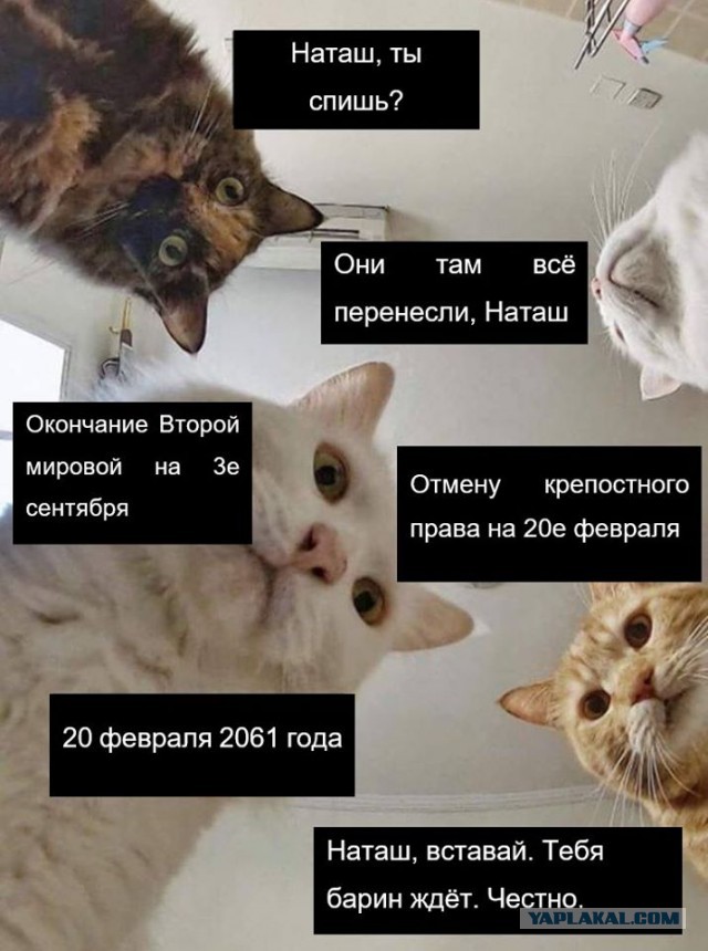 Пандемия. Коронавирус. Россия и мир. Последняя информация. Часть 13
