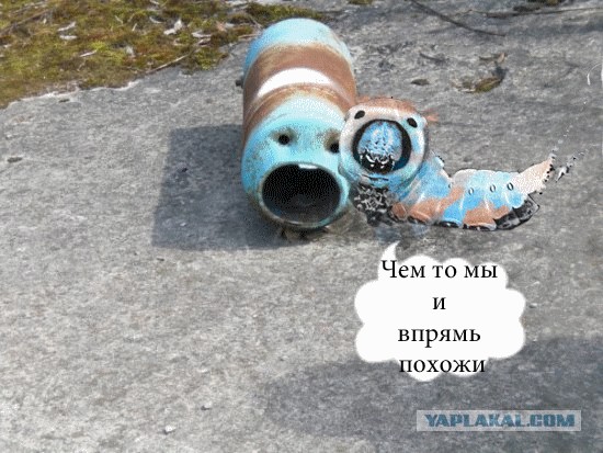 Фотожаба: Чернобыльская гусеница