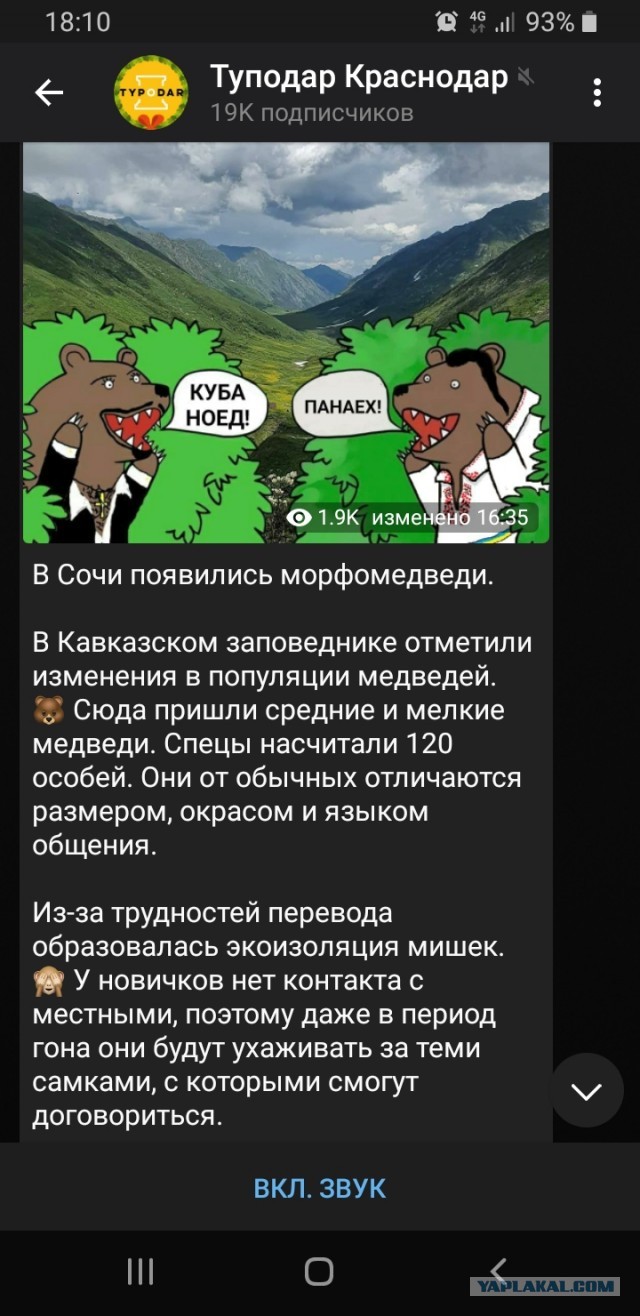 Боянистые картинки 18.12.20