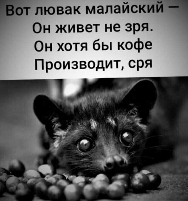 Знаете, что самое обидное?