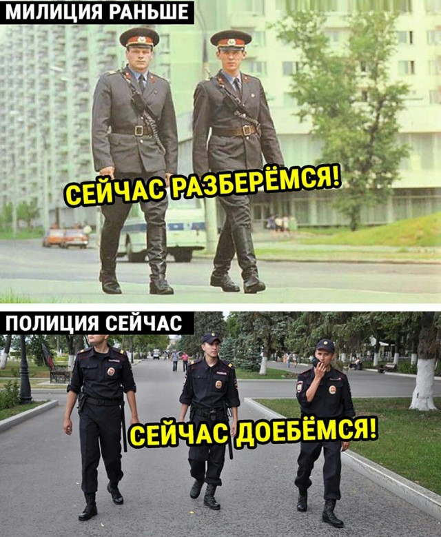 Ротвейлер загрыз кошку на глазах у школьников, дети в истерике.