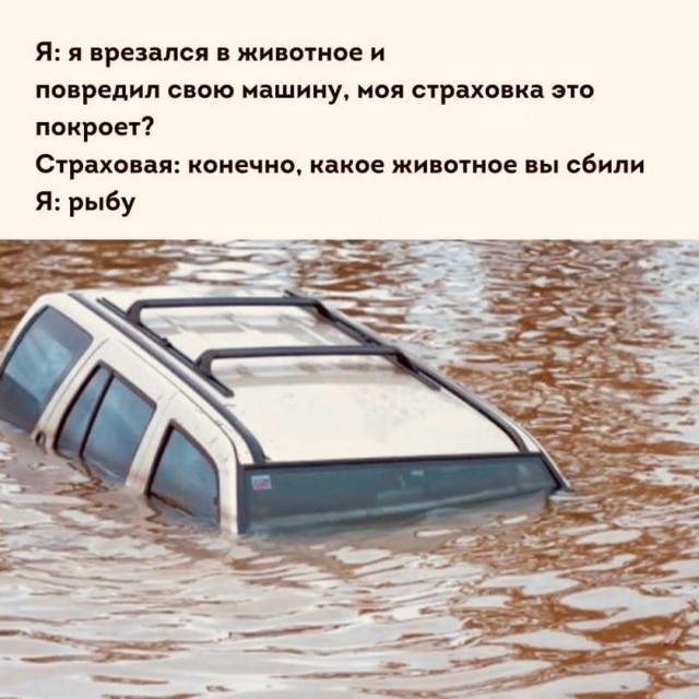 Картинки и мемы для настроения 002