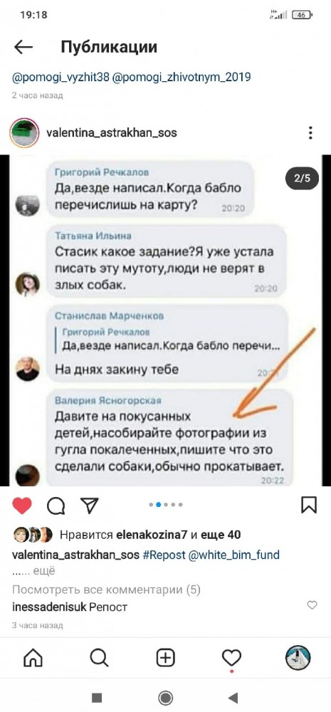 В Москве соседская овчарка покусала двухлетнюю девочку в подъезде
