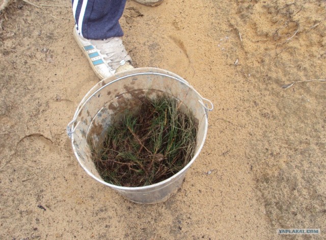 Как я провёл выходные.