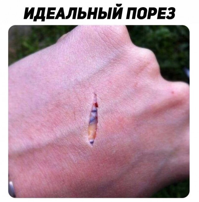 Идиотские картинки