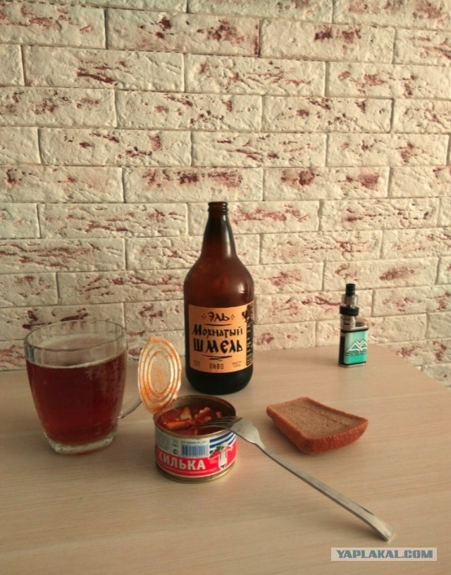 Килька: Селёдка, ставшая культовой в СССР. Её ловят по 600 тысяч тонн в год, а она не кончается. Как так?