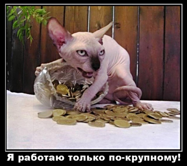 "Повторишь?"