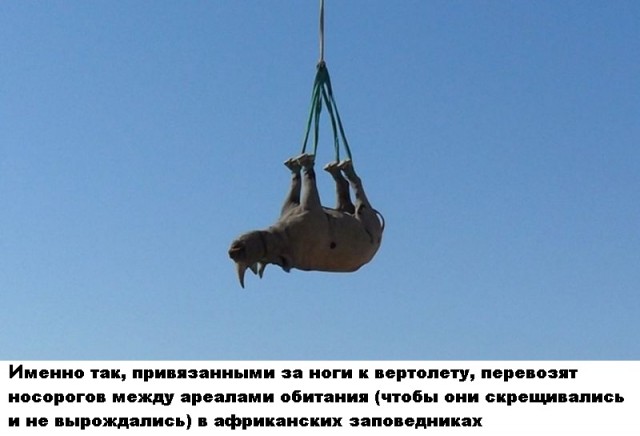 Так себе картинки 12.09.21