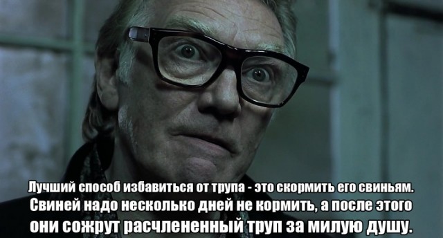 Норвежская блогерша едва не погибла во время селфи с домашней свиньей