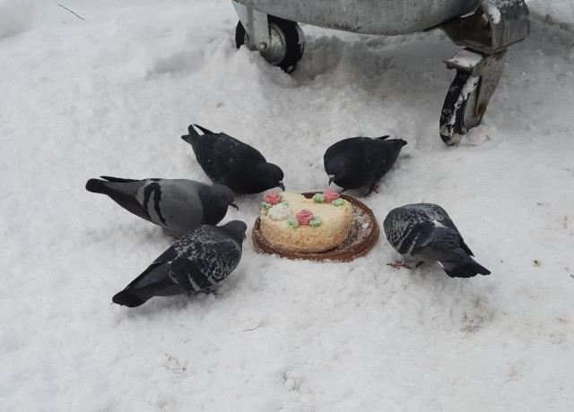 Так себе картинки 07.02.22